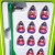 Subbuteo La Leggenda France 1998 World Cup Winners